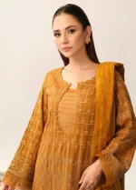 RIAZ ARTS, 3 piece suit, unstitched, TL 327, front neck