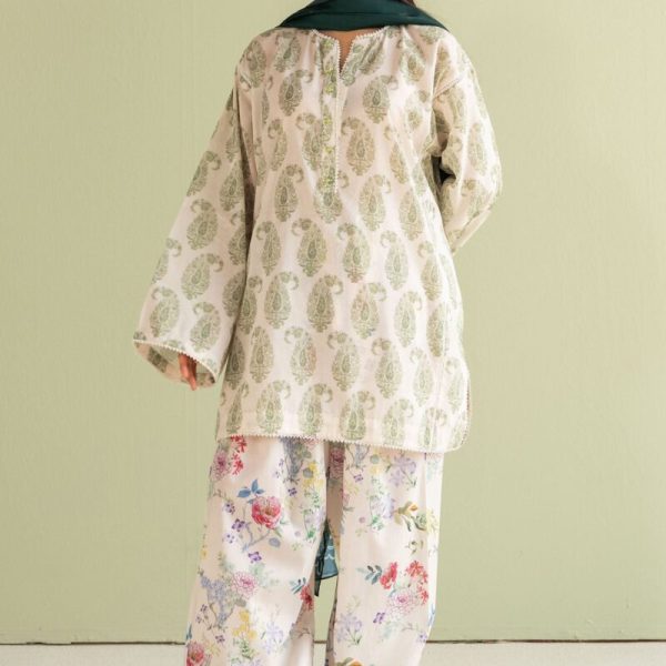 paisley6ba