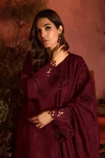 Rang Rasiya Pakistani designer outfit featuring intricate embroidery and rich colors – luxury ethnic wear available in the UK.