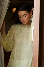 Zara shahjahan , satori lawn 25’ , 3 PIECE SUIT , unstitched, lawn , CHAMPAGNE & PASTEL, yellow color , kaori-1b, front top