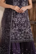 Iznik, luxury chiffon, 25’ , 3 PIECE SUIT , unstitched, chiffon , purple , ILC-06, FRONT daman