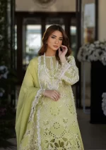 KAHF, luxury lawn 25’ , 3 PIECE SUIT , unstitched, lawn , apple green color , KLR-08, front shirt