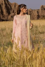 Rang Rasiya Premium Eid Collection 2025 | Nehal, 3-piece Pakistani designer lawn suits in the UK- Zee Collections. FRONT kameez